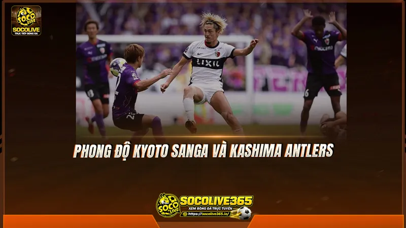 Phong độ Kyoto Sanga và Kashima Antlers được Socolive TV tổng hợp Phong độ Kyoto Sanga và Kashima Antlers được Socolive TV tổng hợp