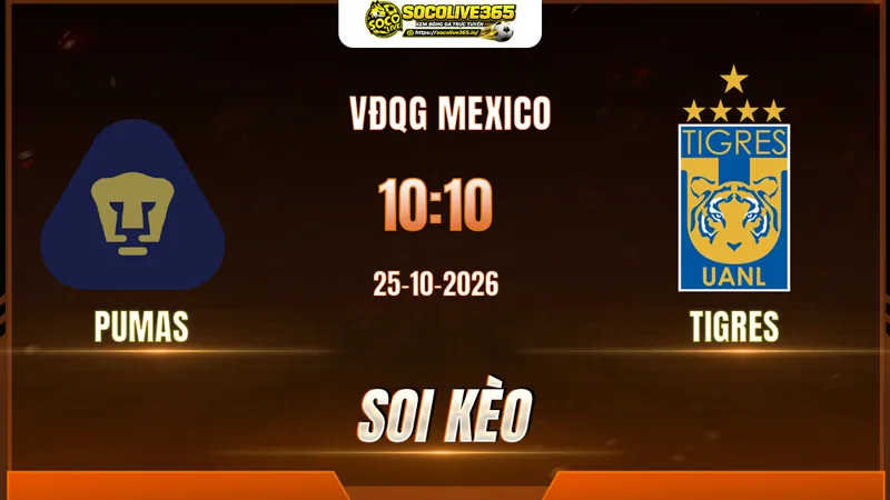 Các chuyên gia Socolive soi kèo Pumas vs Tigres trước giờ bóng lăn
