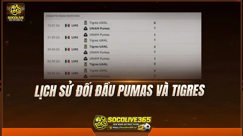 Lịch sử đối đầu Pumas và Tigres được Socolivetv tổng hợp